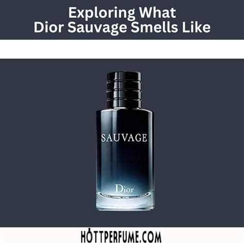 dior savauge clone|what smells like dior sauvage.